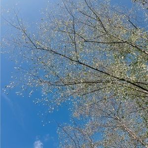 Meet your Posher, Claudia